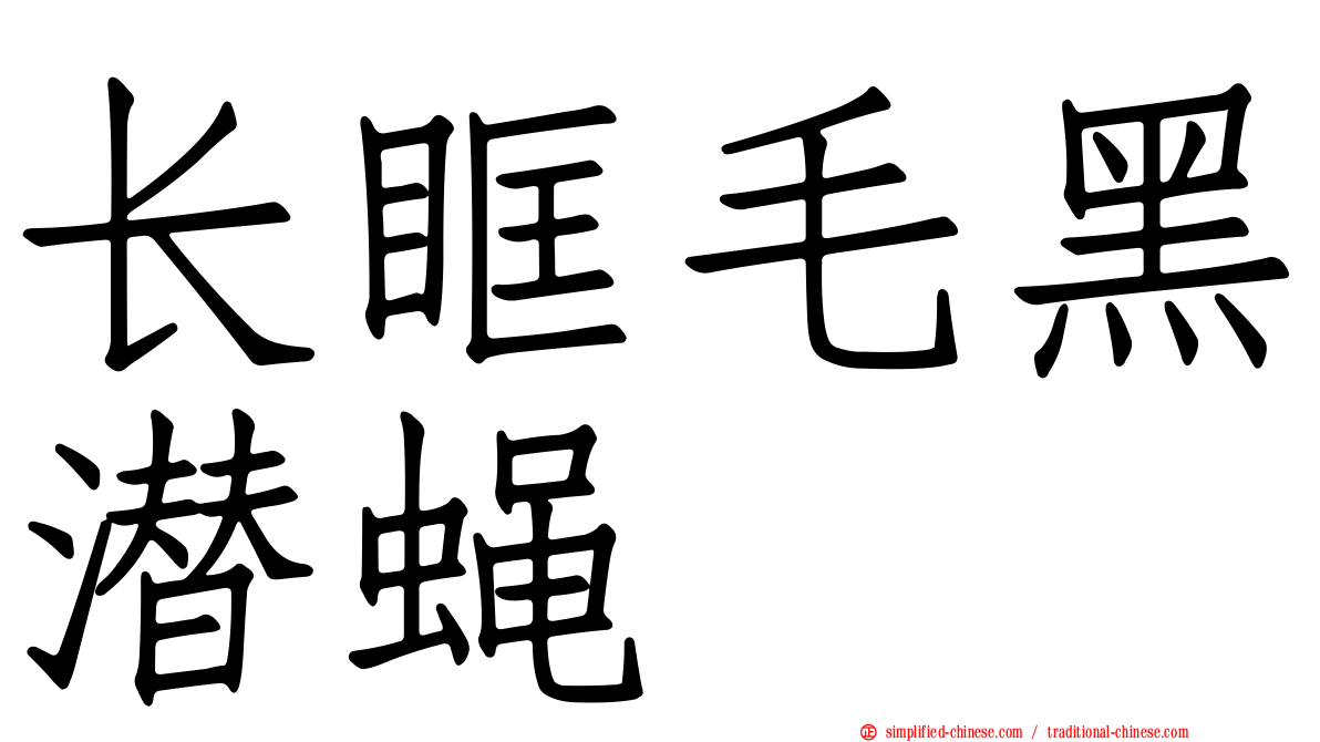 长眶毛黑潜蝇