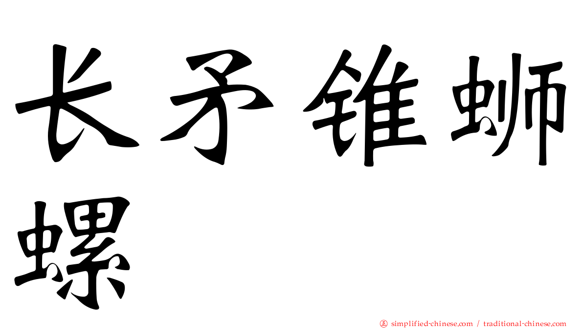 长矛锥蛳螺