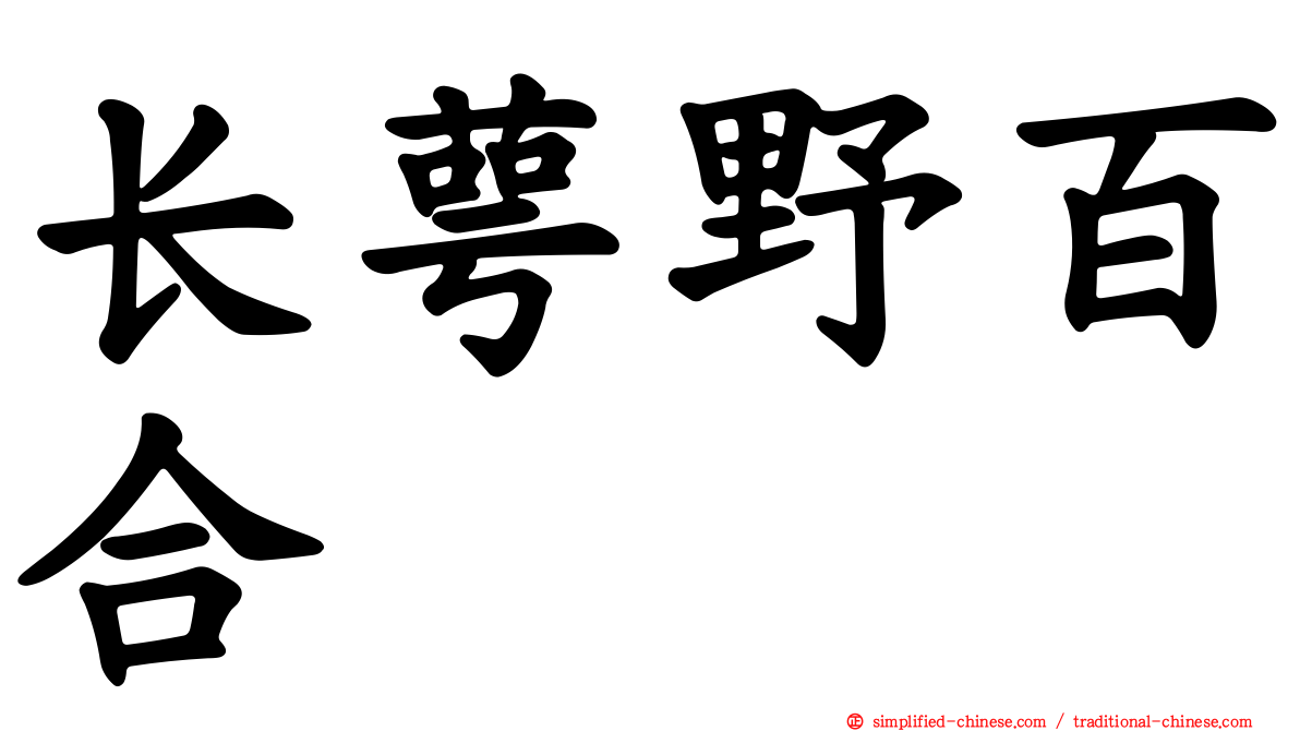 长萼野百合