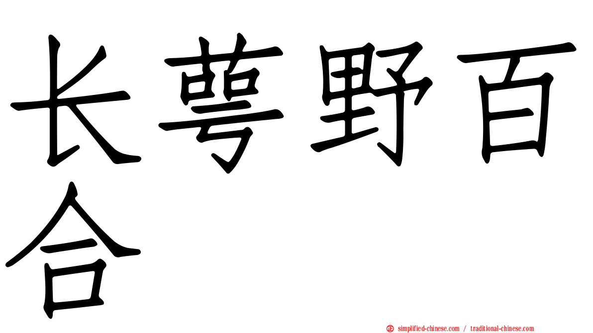 长萼野百合