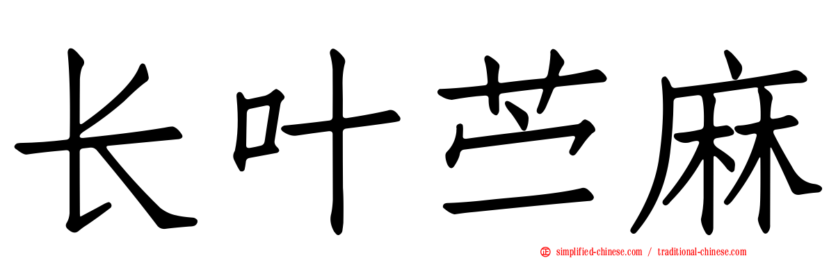 长叶苎麻