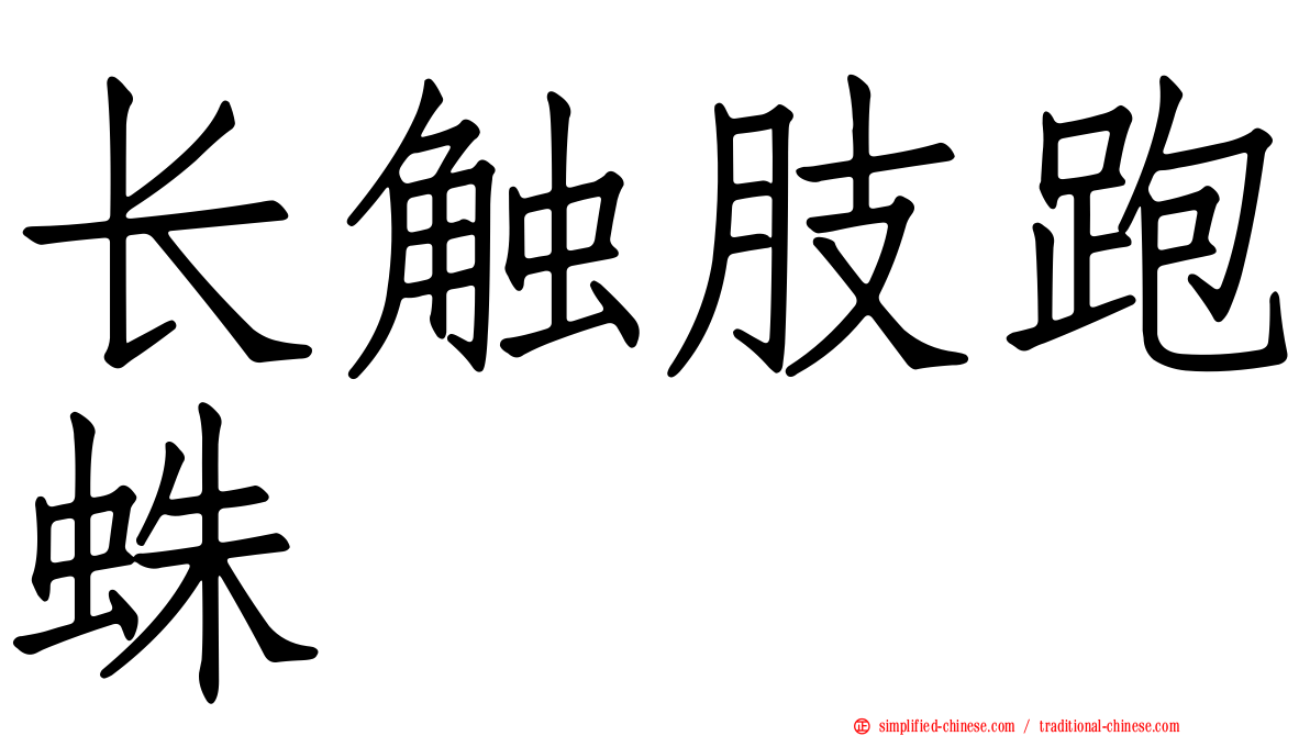 长触肢跑蛛