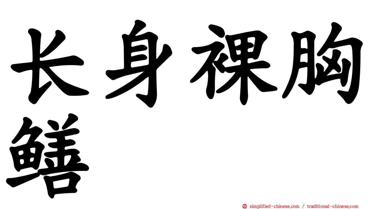 长身裸胸鳝