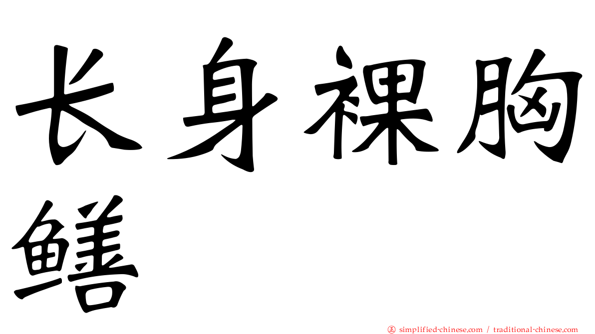 长身裸胸鳝