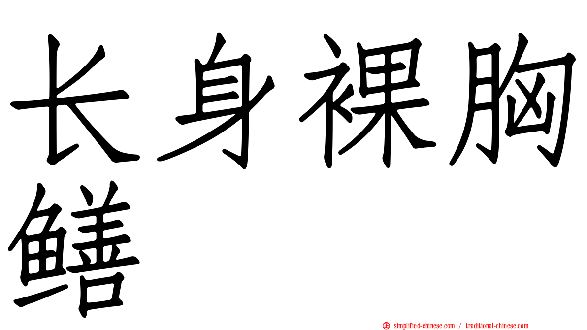 长身裸胸鳝