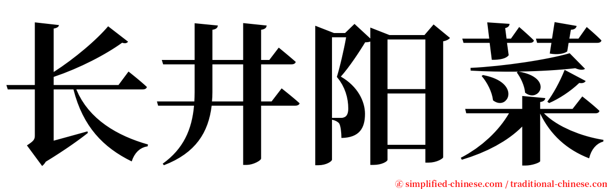 长井阳菜 serif font