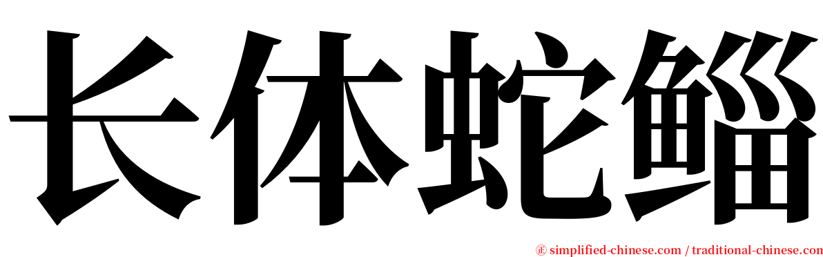 长体蛇鲻 serif font