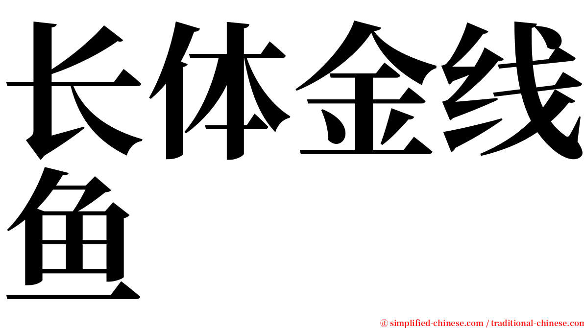 长体金线鱼 serif font