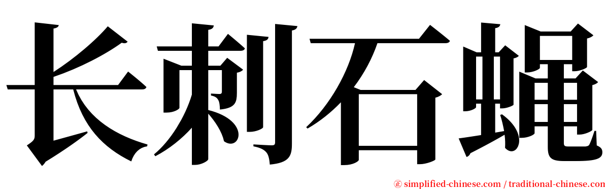 长刺石蝇 serif font