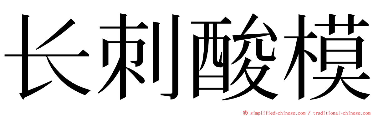 长刺酸模 ming font