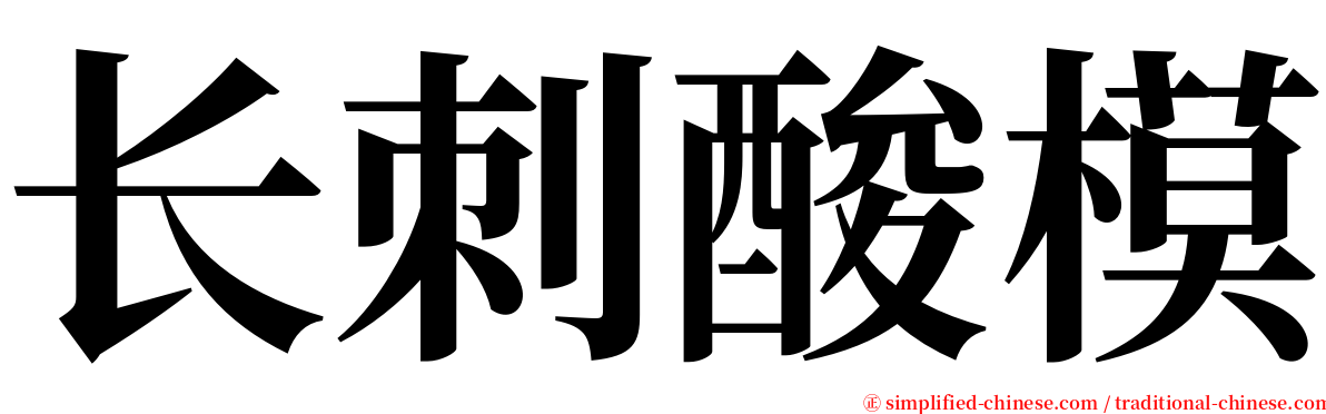 长刺酸模 serif font