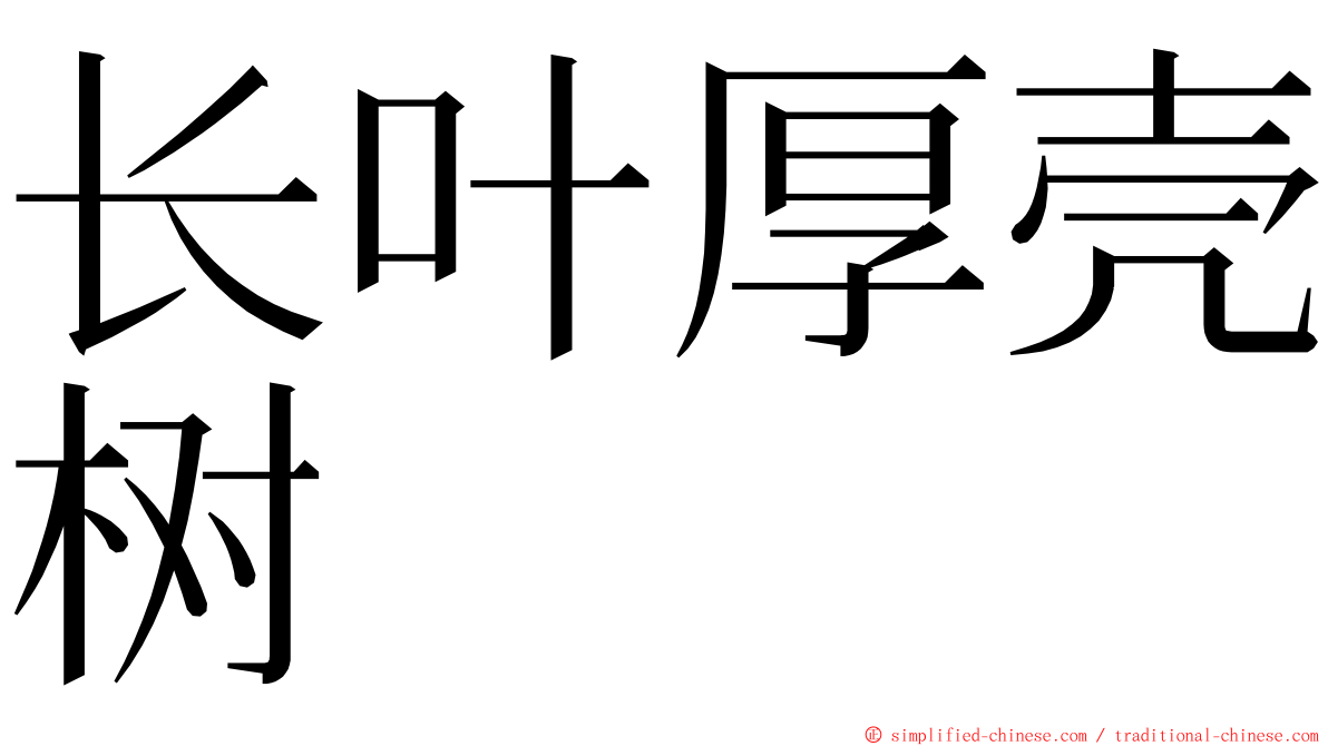 长叶厚壳树 ming font