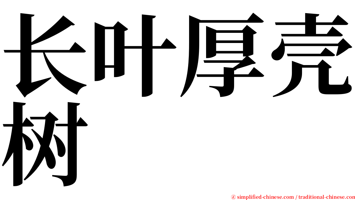 长叶厚壳树 serif font