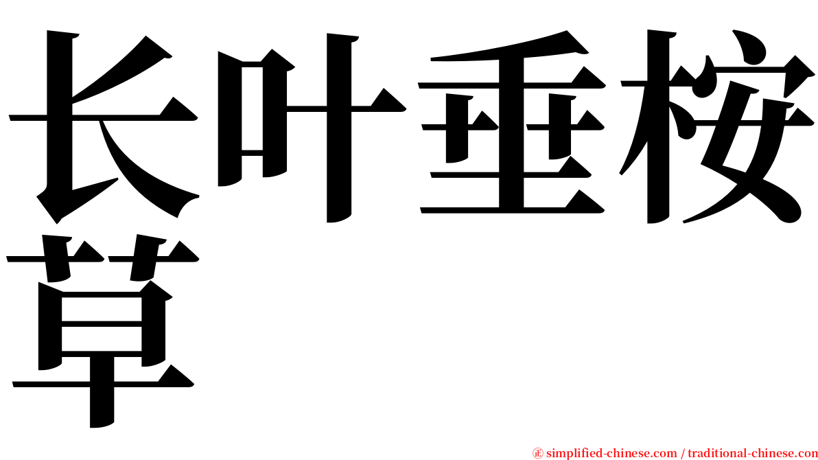 长叶垂桉草 serif font