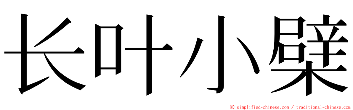 长叶小檗 ming font