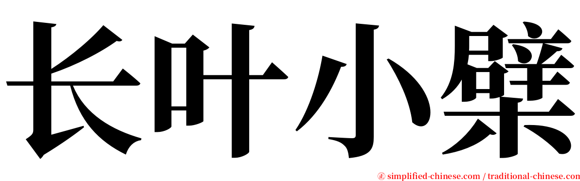 长叶小檗 serif font