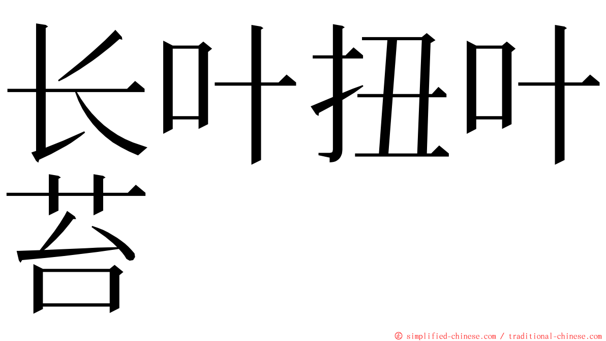 长叶扭叶苔 ming font