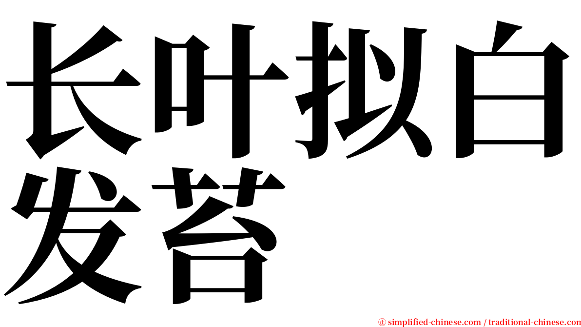 长叶拟白发苔 serif font