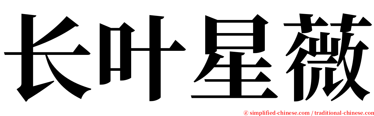 长叶星薇 serif font