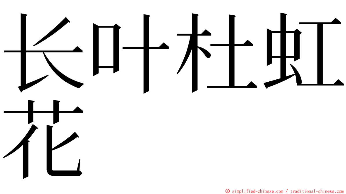 长叶杜虹花 ming font