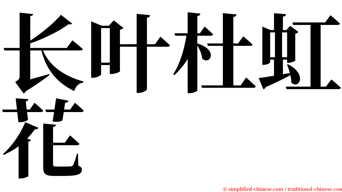 长叶杜虹花 serif font