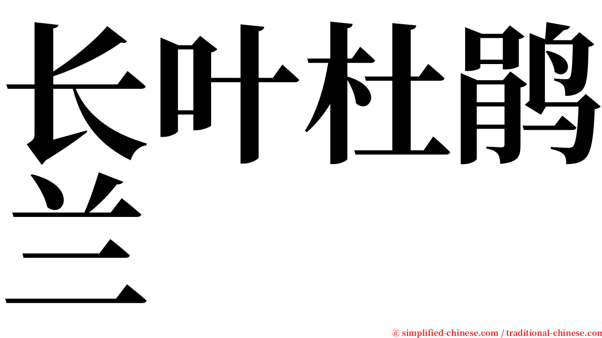 长叶杜鹃兰 serif font