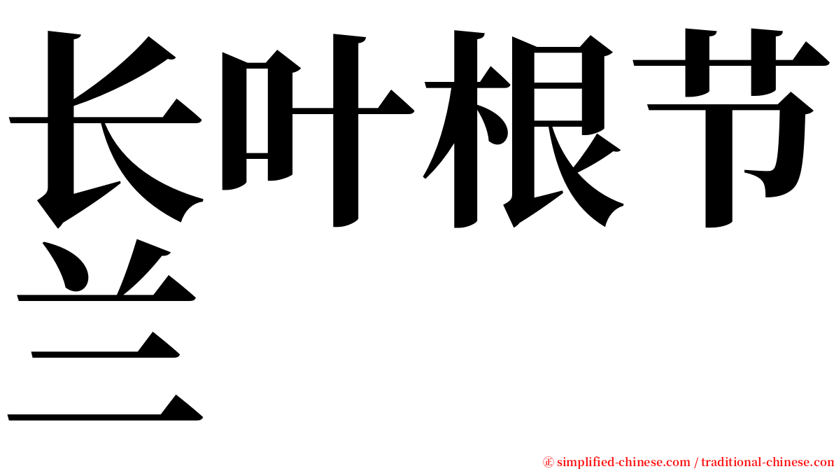 长叶根节兰 serif font