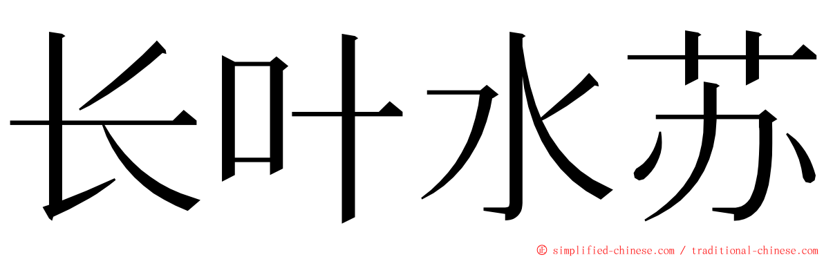 长叶水苏 ming font