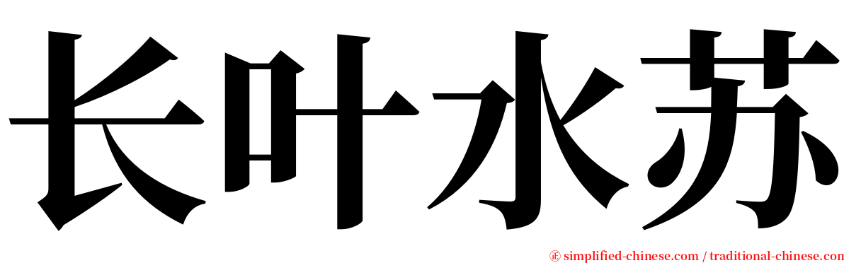 长叶水苏 serif font