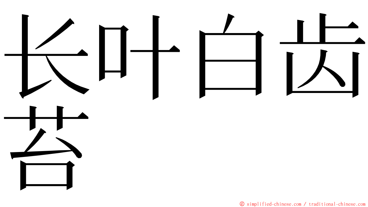 长叶白齿苔 ming font