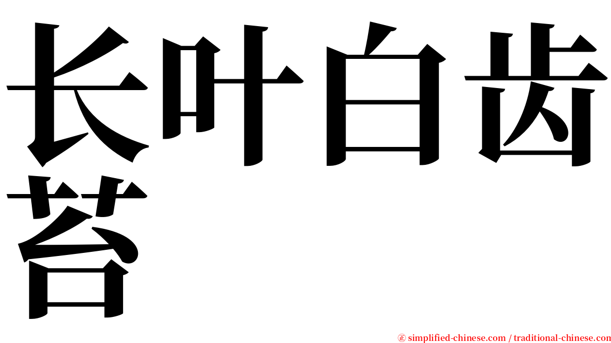 长叶白齿苔 serif font