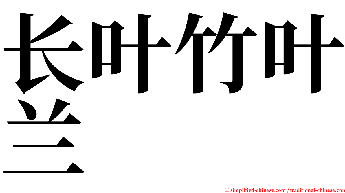 长叶竹叶兰 serif font