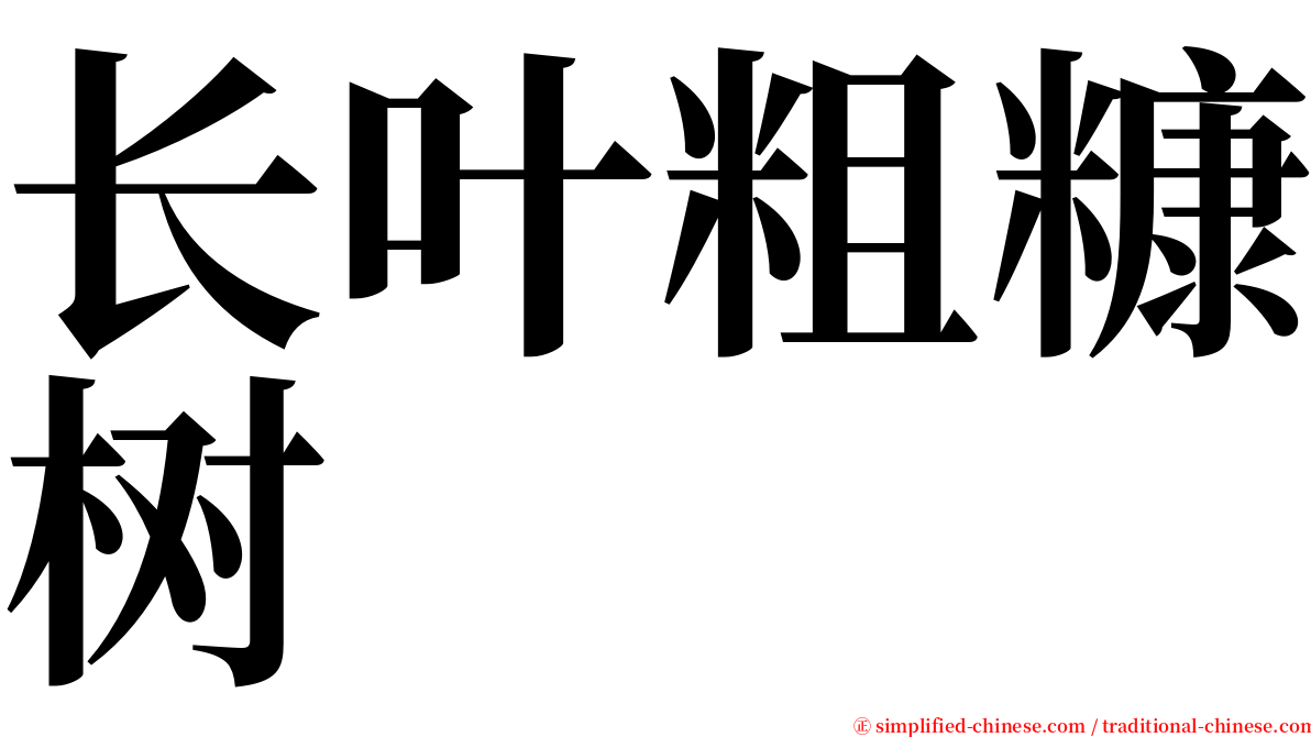 长叶粗糠树 serif font