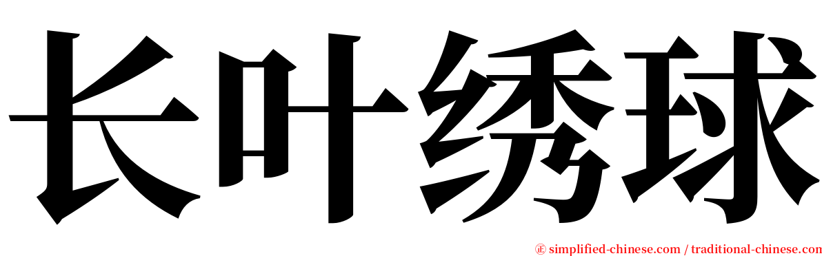 长叶绣球 serif font