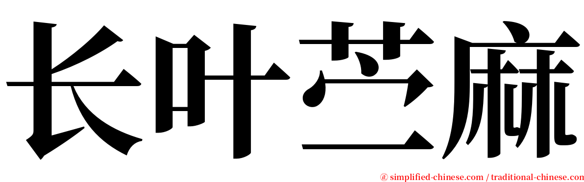 长叶苎麻 serif font