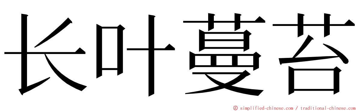 长叶蔓苔 ming font