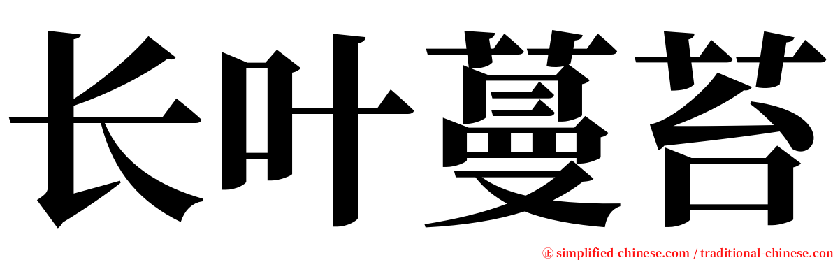 长叶蔓苔 serif font