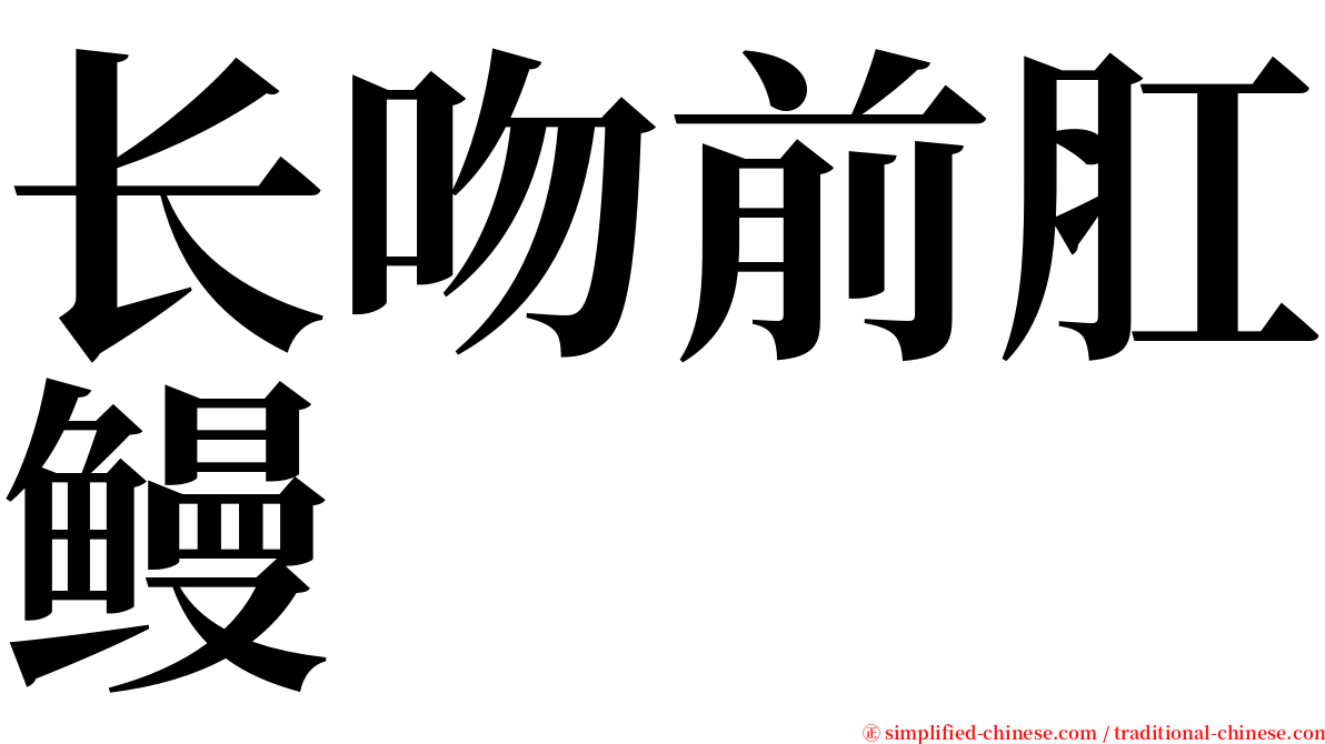 长吻前肛鳗 serif font