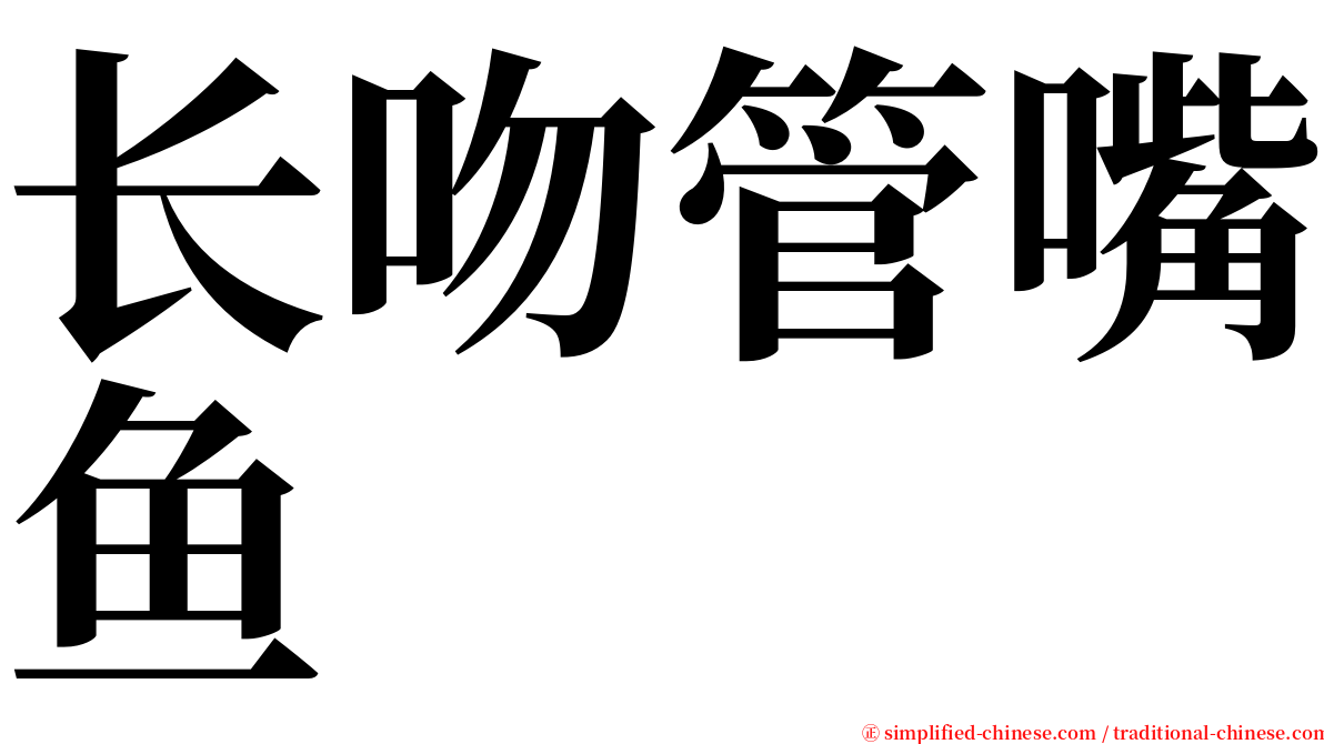 长吻管嘴鱼 serif font