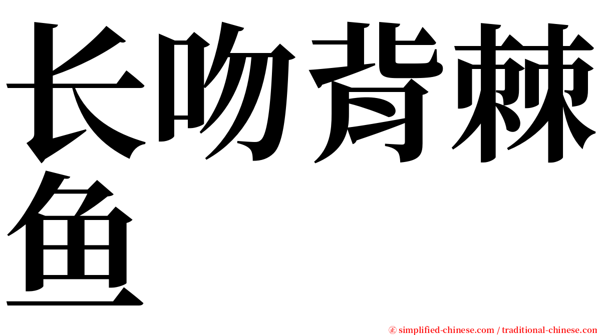 长吻背棘鱼 serif font