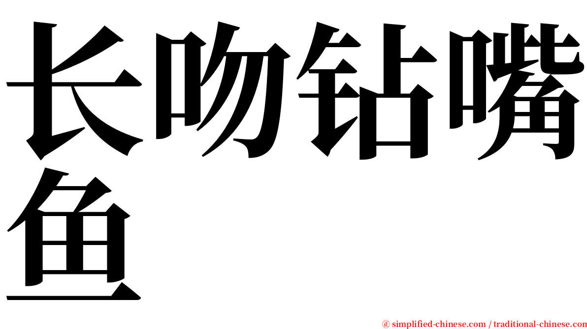 长吻钻嘴鱼 serif font