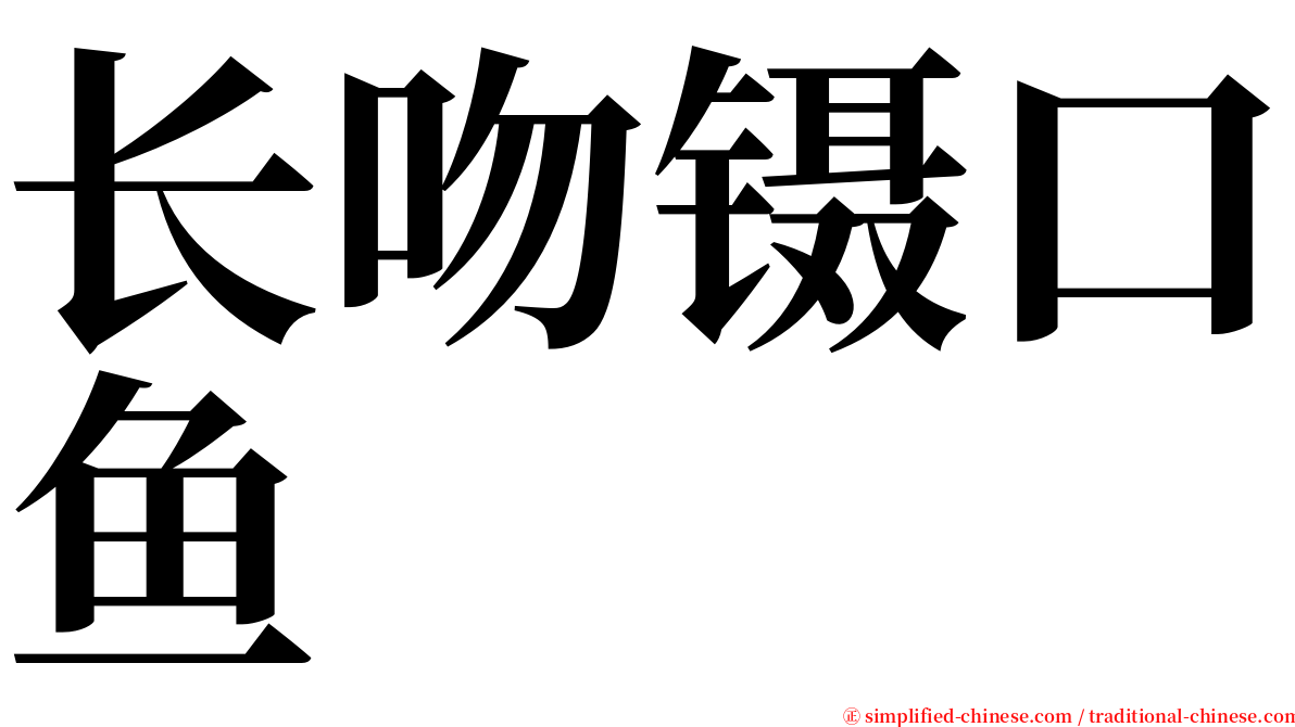 长吻镊口鱼 serif font