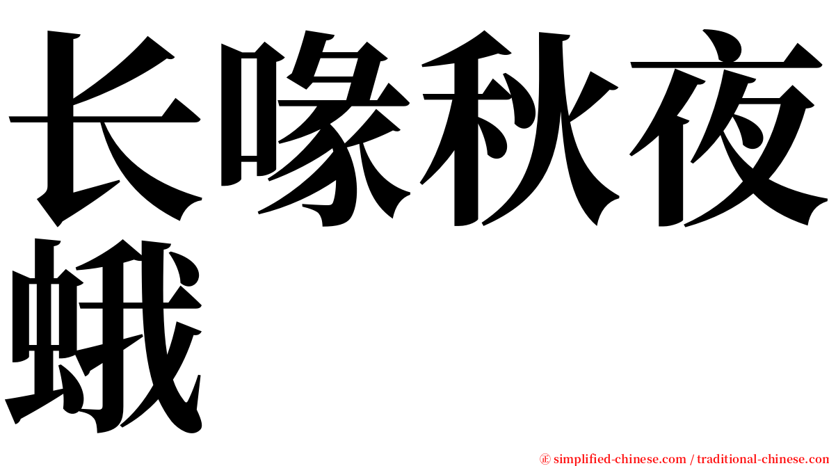 长喙秋夜蛾 serif font