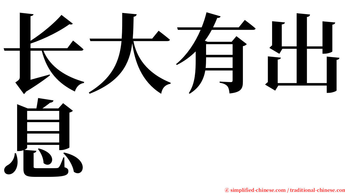 长大有出息 serif font