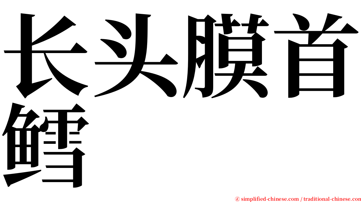 长头膜首鳕 serif font