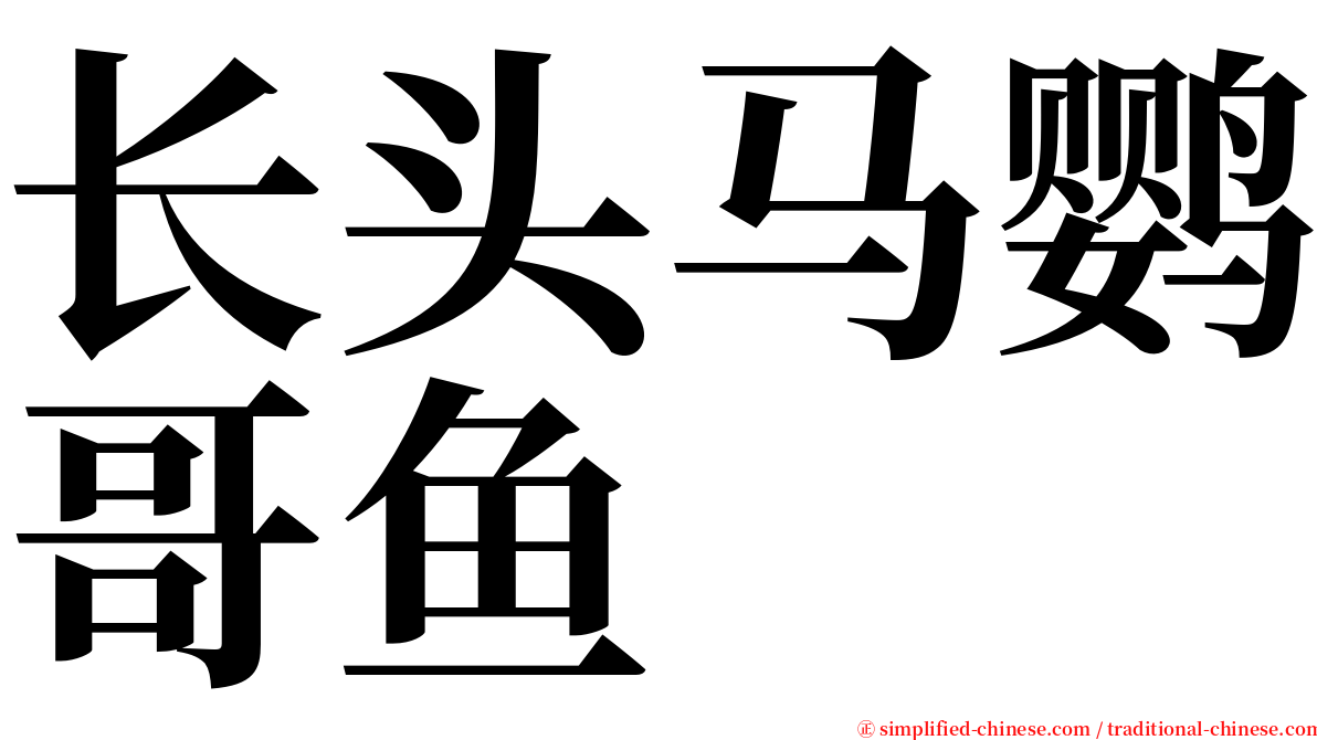 长头马鹦哥鱼 serif font