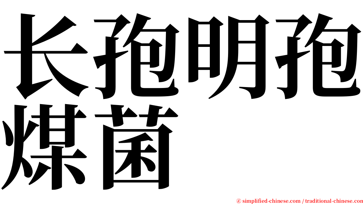 长孢明孢煤菌 serif font