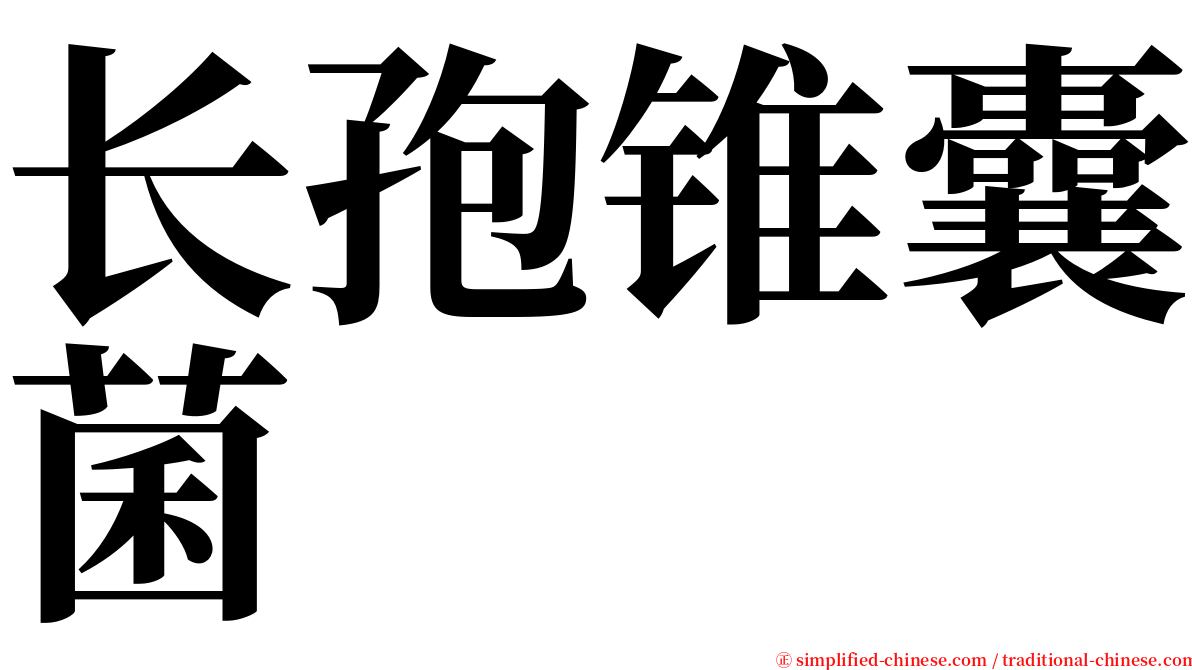 长孢锥囊菌 serif font