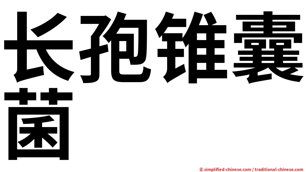 长孢锥囊菌