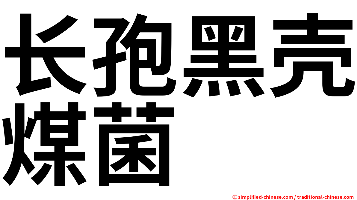 长孢黑壳煤菌
